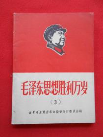 毛泽东思想胜利万岁（3）