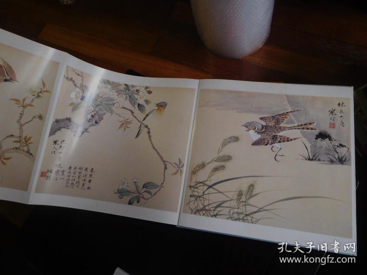 中国书画册页精选.江寒汀