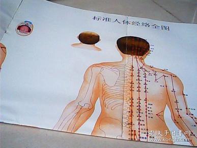标准人体经络全图
