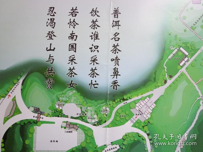 它是普洱茶最大800_600