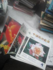 中国花卉盆景1999年第1、2、3、4期  4本合售