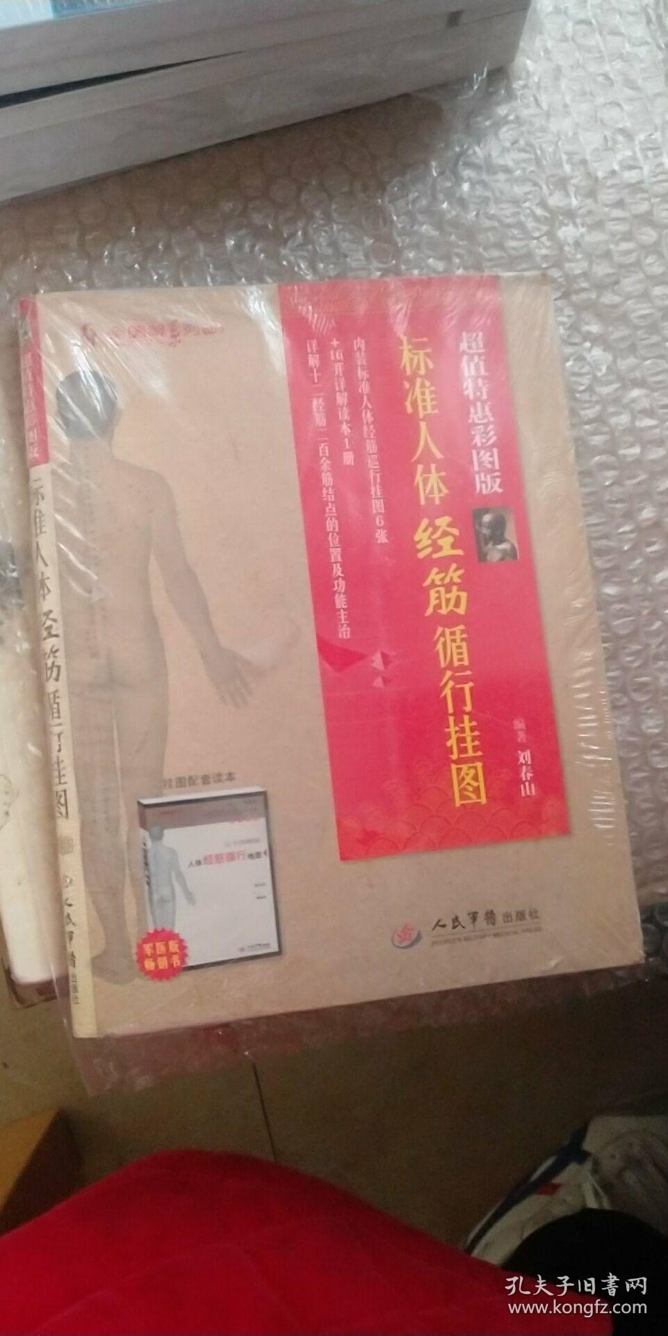 全图解系列丛书:标准人体经筋循行挂图(超值特惠彩图版)