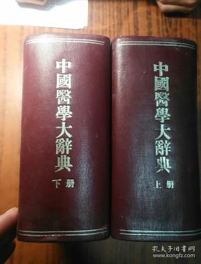 民国原版 中国医学大 辞典(上下【精装,西苑名 中医 刘熙政 用书钤