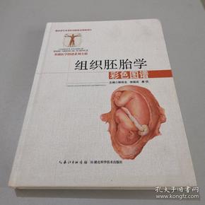 【基础医学图谱系列全辑】 组织胚胎学彩色图谱