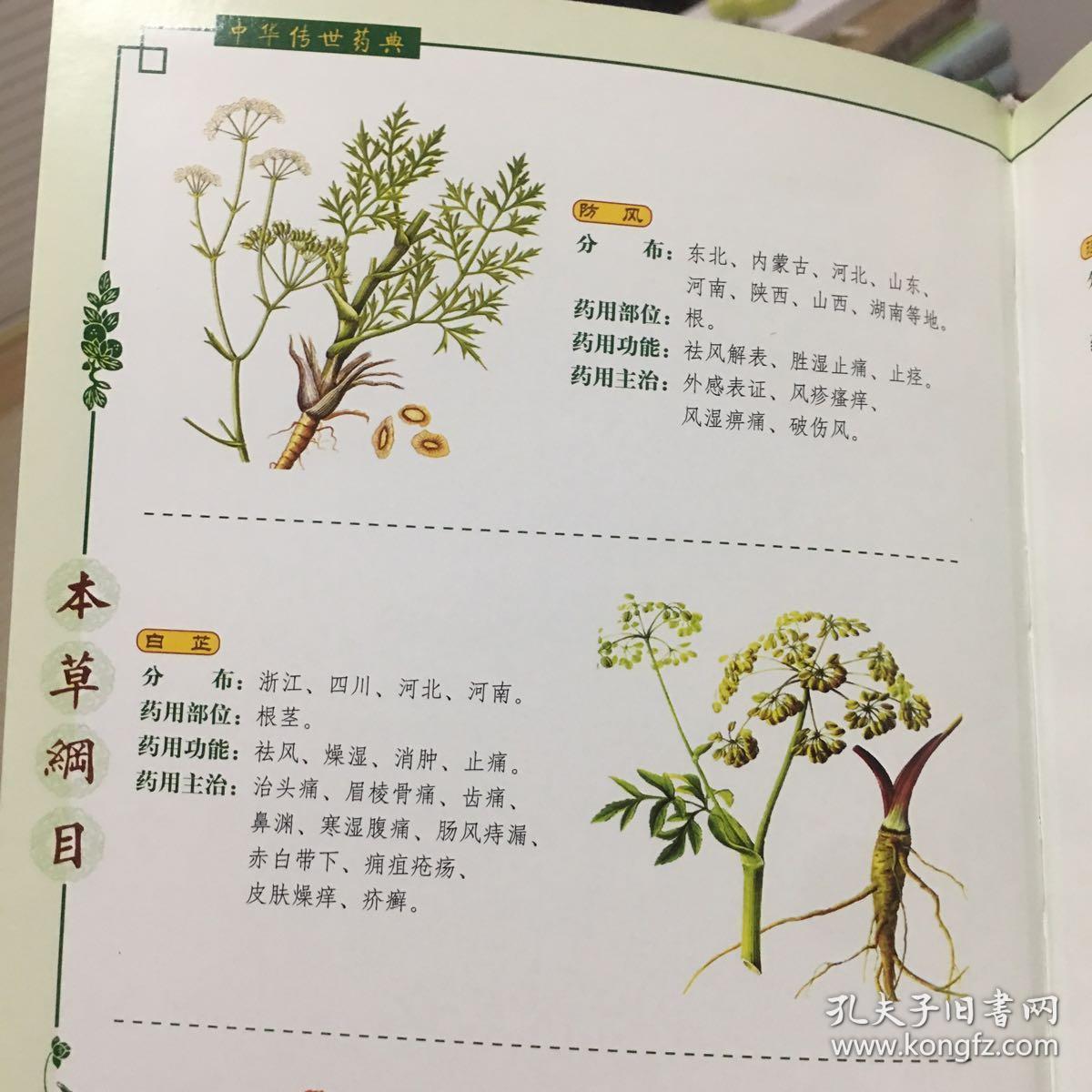 本草纲目(全四册):简体横排/全译文/黑白插图