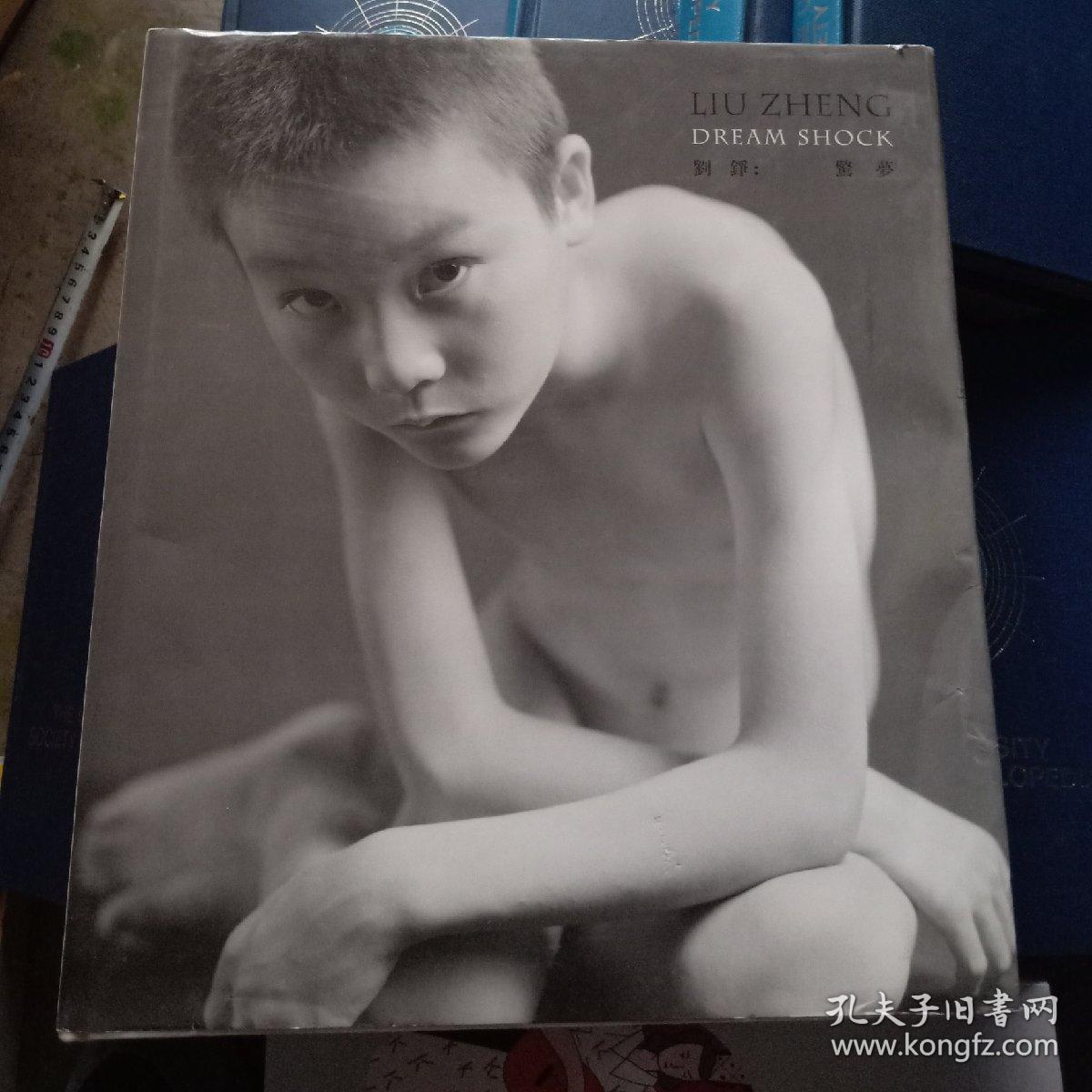 刘铮:惊梦 (中英双语画册)