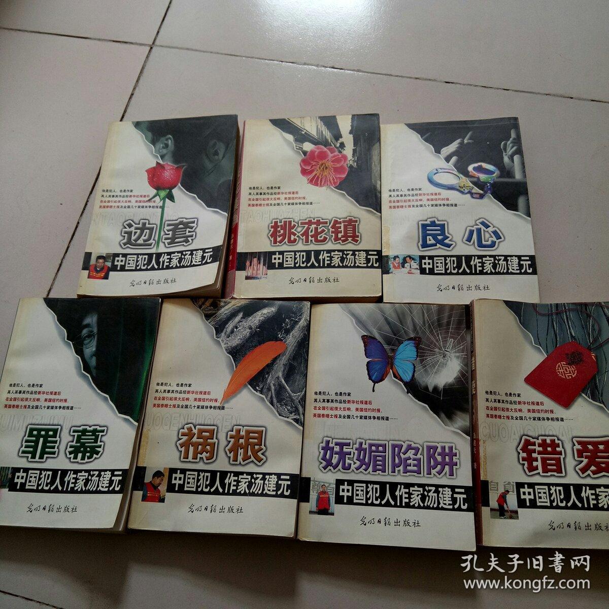中国犯人作家汤建元,边套,桃花镇,良心,罪幕,祸根,妩媚陷阱,错爱,全7