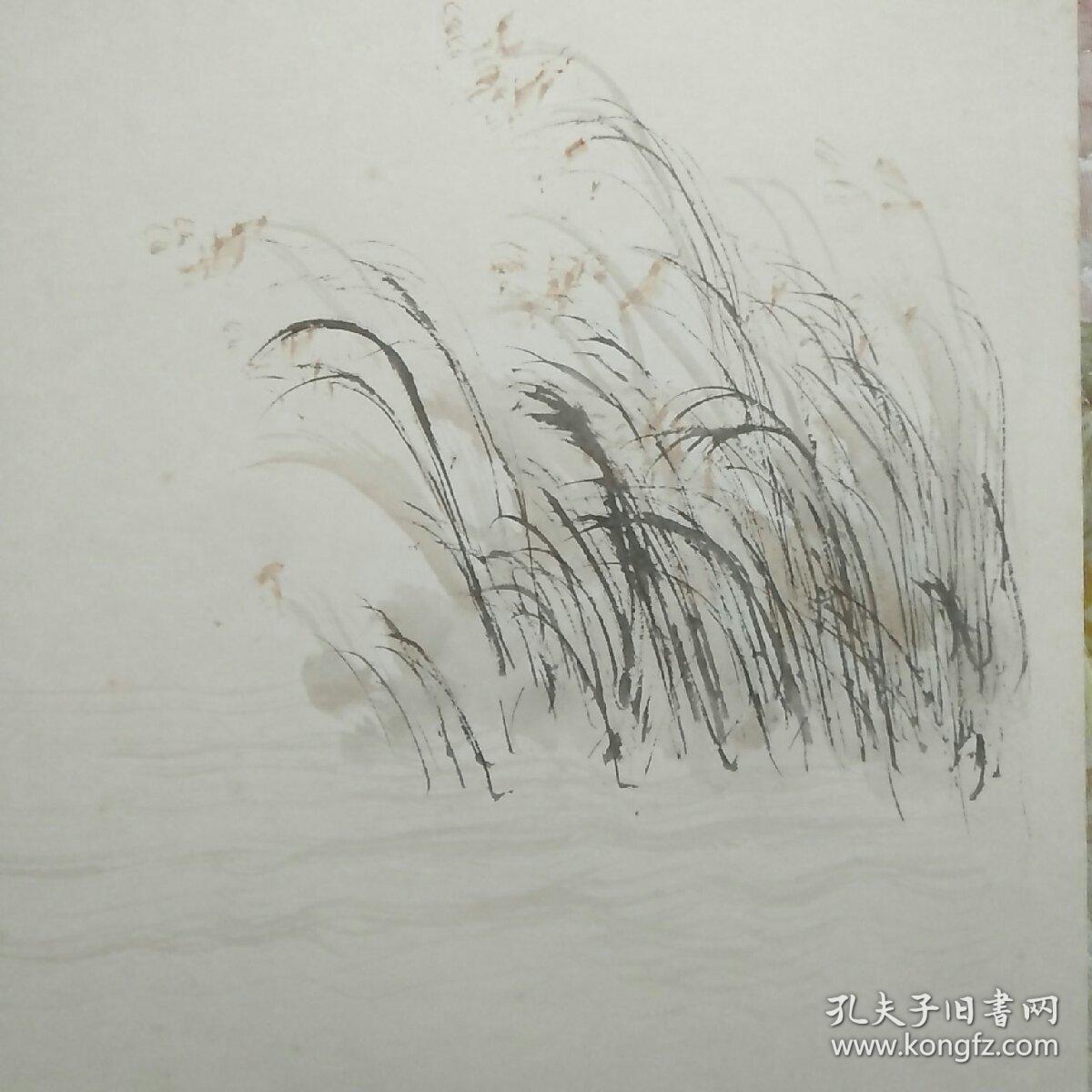 亚明芦苇河塘遐迩图