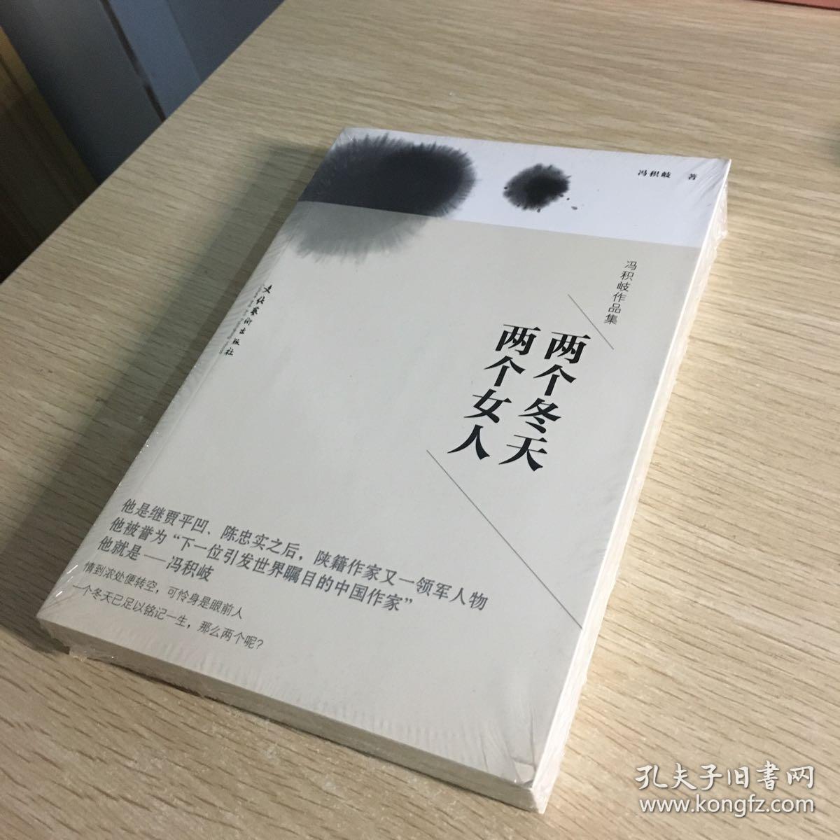 冯积岐作品集:两个冬天,两个女人