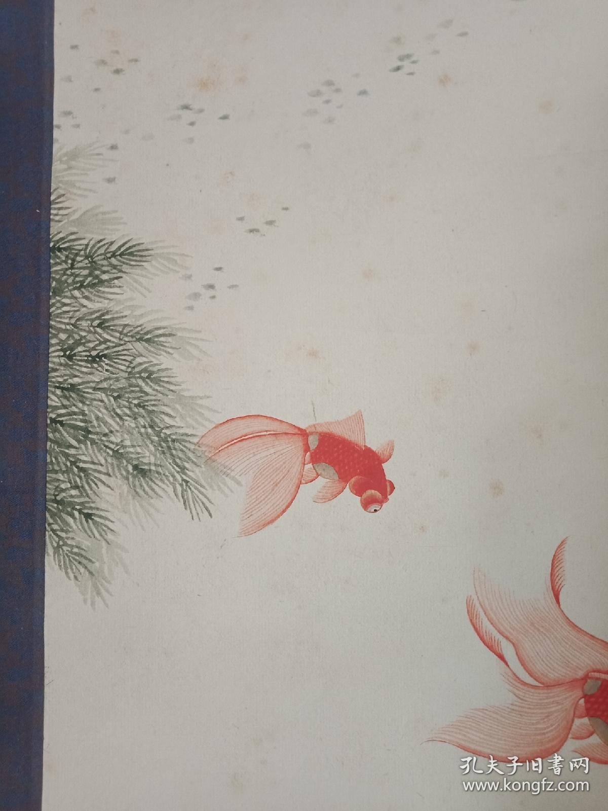 精品 吴青霞金鱼 花鸟画作品 上海老画家 精裱