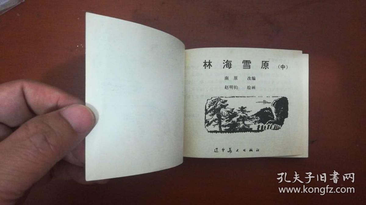 林海雪原(中)