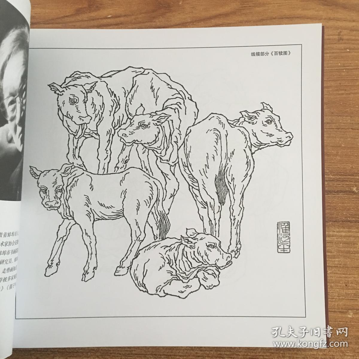 画牛百态,实用白描画稿