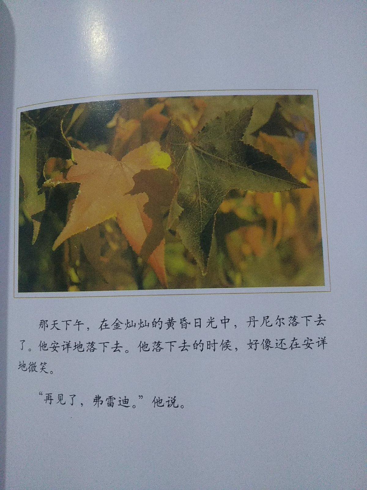 一片叶子落下来(精装绘本)
