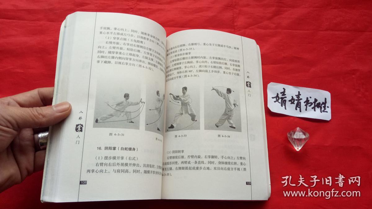 八卦掌入门(正版/形意拳,太极.心意.内家拳类精典书籍