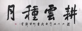 【保真】实力书法家唐逸飞作品:耕云种月