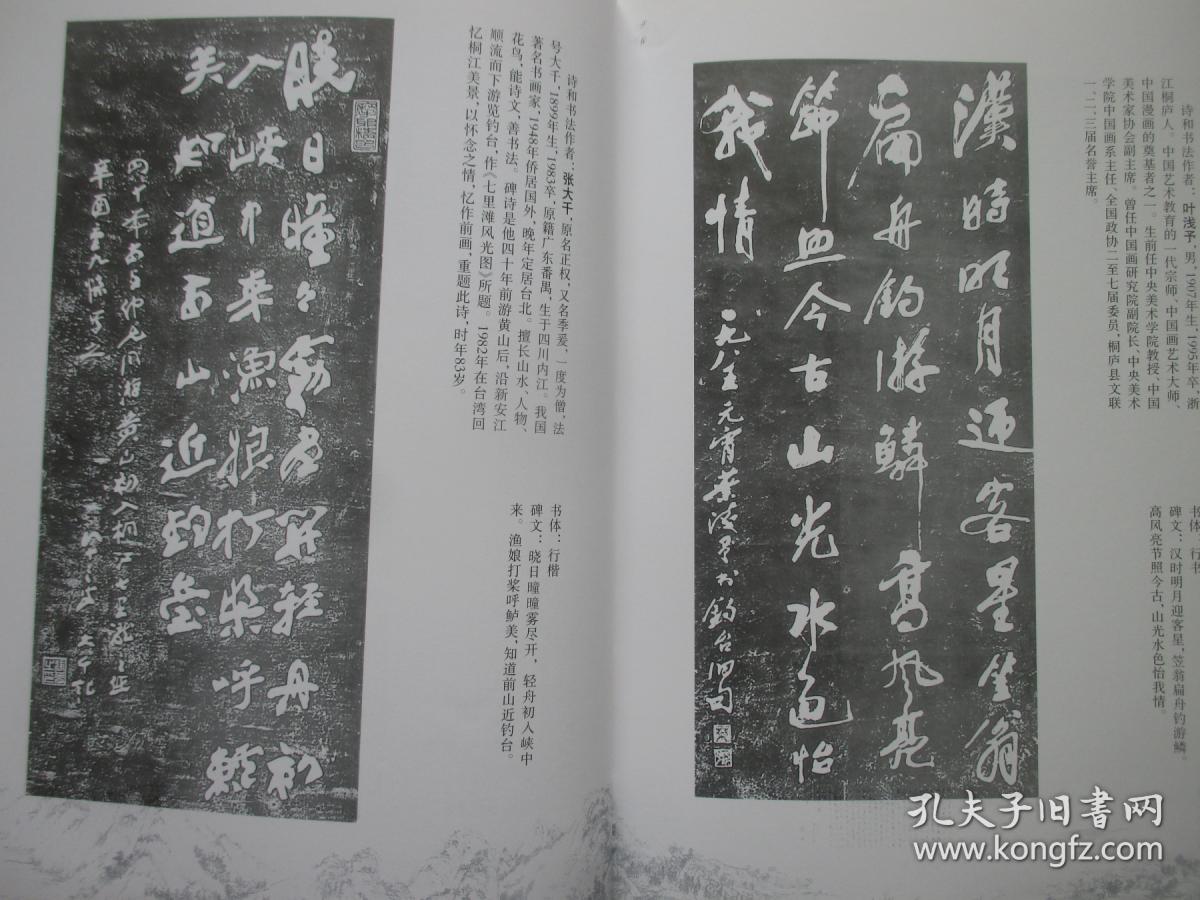 桐庐严子陵钓台碑园拓片集