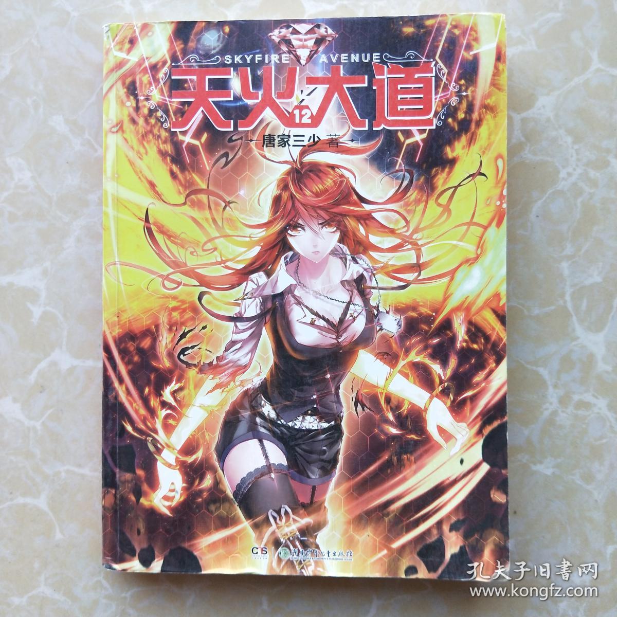 现货 天火大道12 唐家三少/作品 玄幻小说 正版书籍 爱格 赠送《龙王