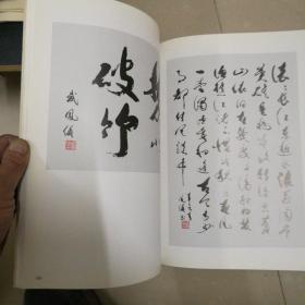 武凤仪书法集