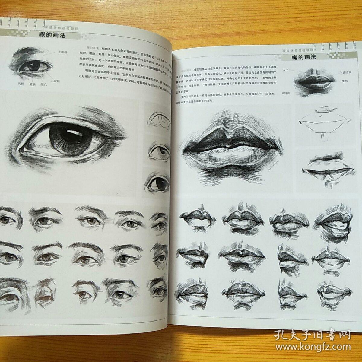女青年的正面像画法 男青年3/4的侧面像画法 男青年的侧面像画法 中年