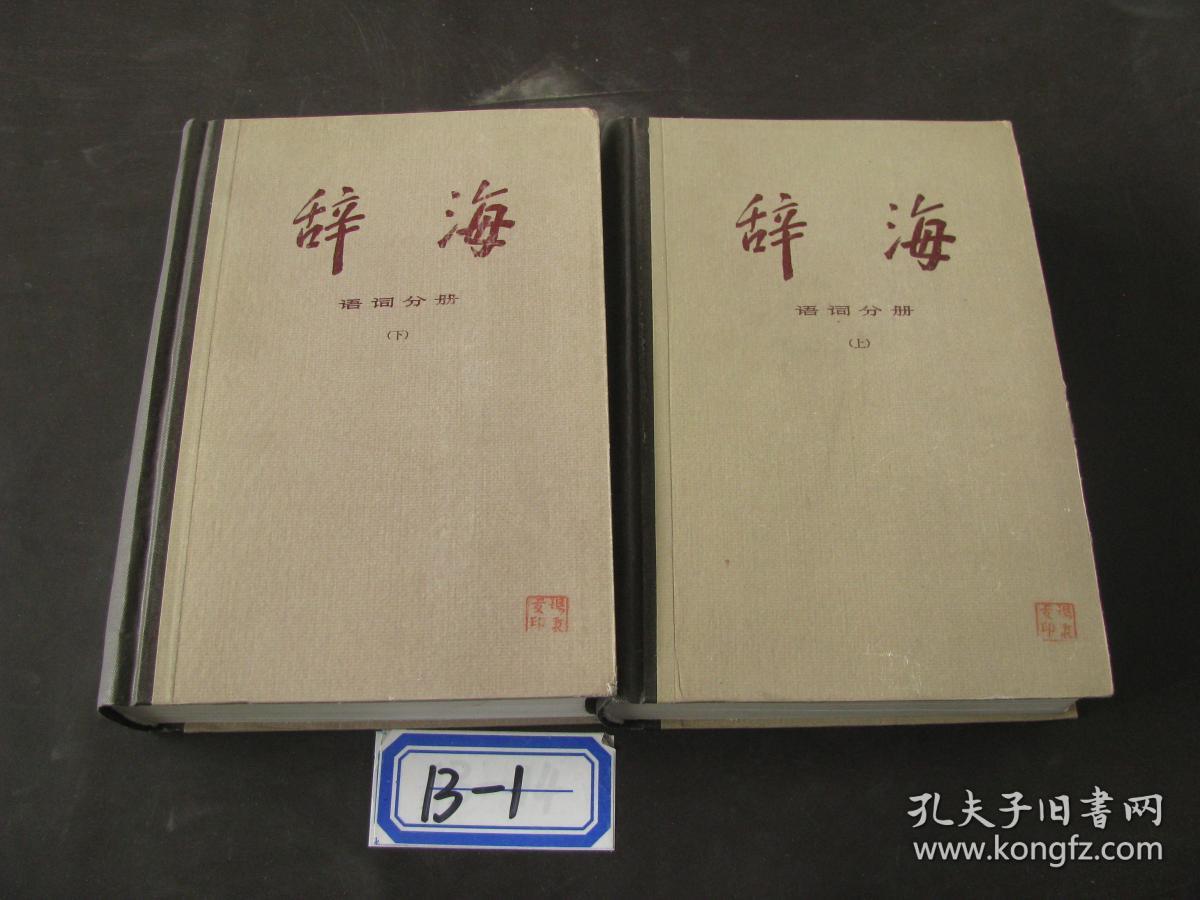 辞海(上下)