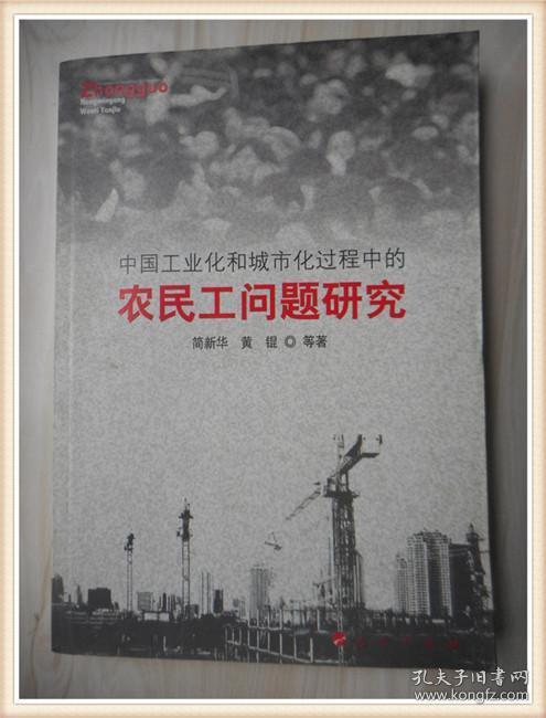 中国工业化和城市化过程中的农民工问题研究
