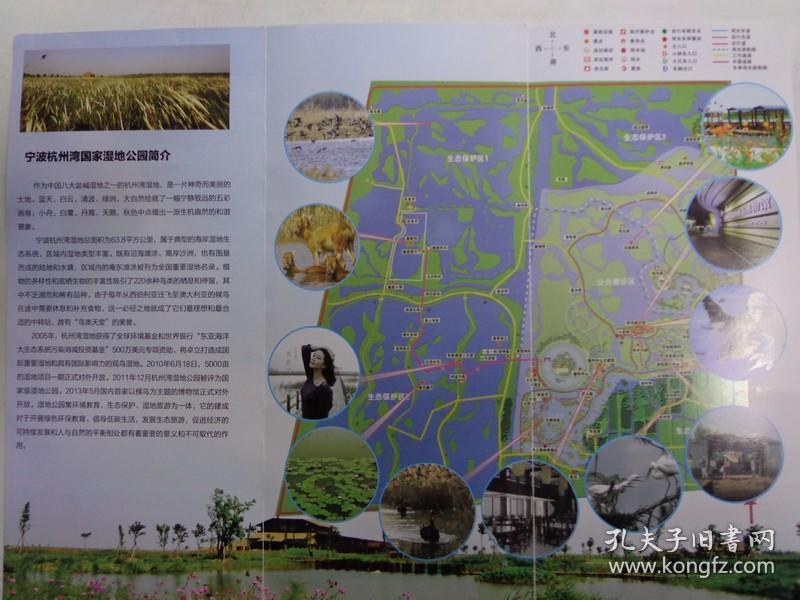 作为中国八大盐碱湿地之一的杭州湾湿地公园,集环境教育,生态保护