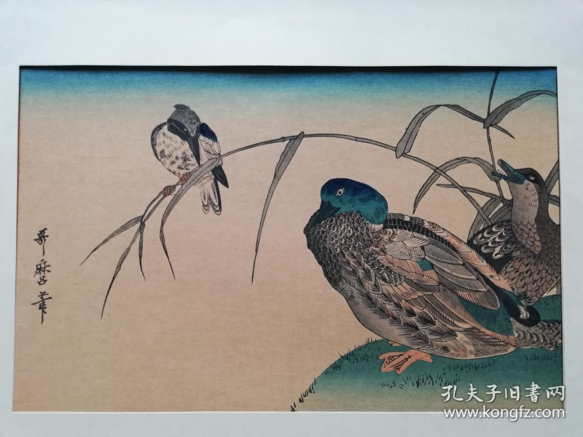 浮世绘 木版画 稀版浮世绘花鸟风月选集·百千鸟·芦鸭翡翠 喜多川歌