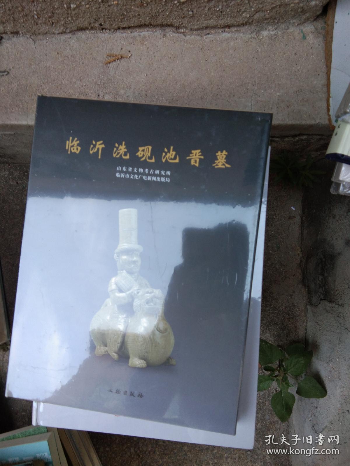临沂洗砚池晋墓