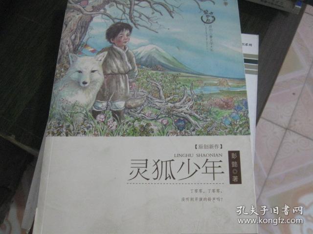 灵狐少年