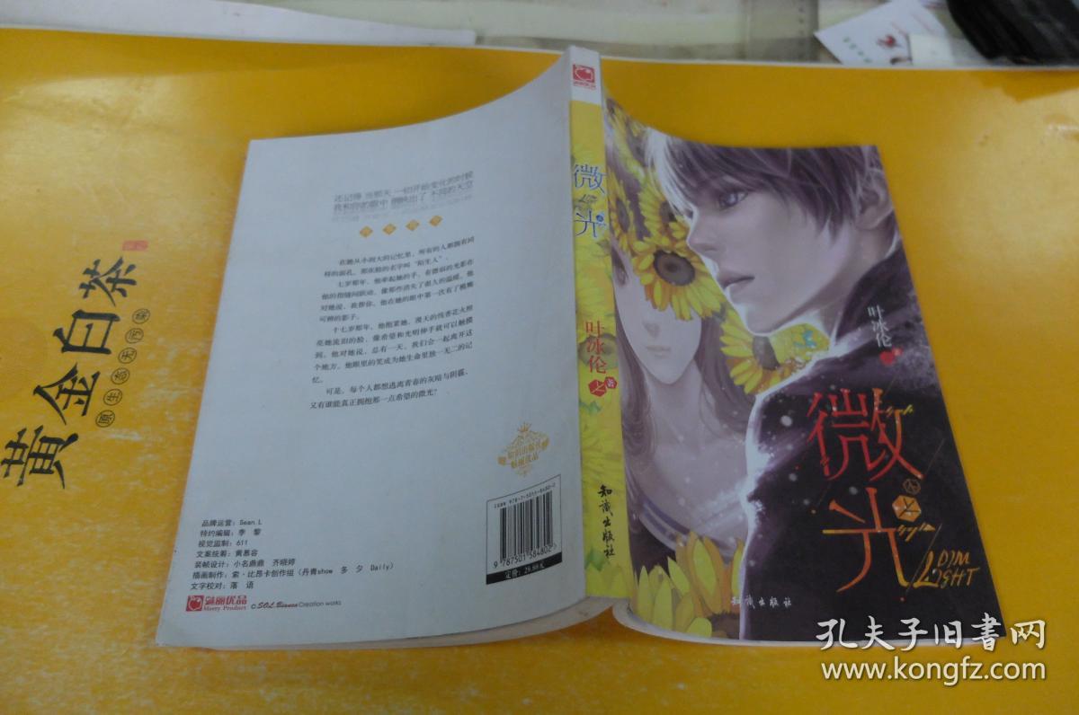 微光(叶冰伦 著)_简介_价格_文学书籍_孔网