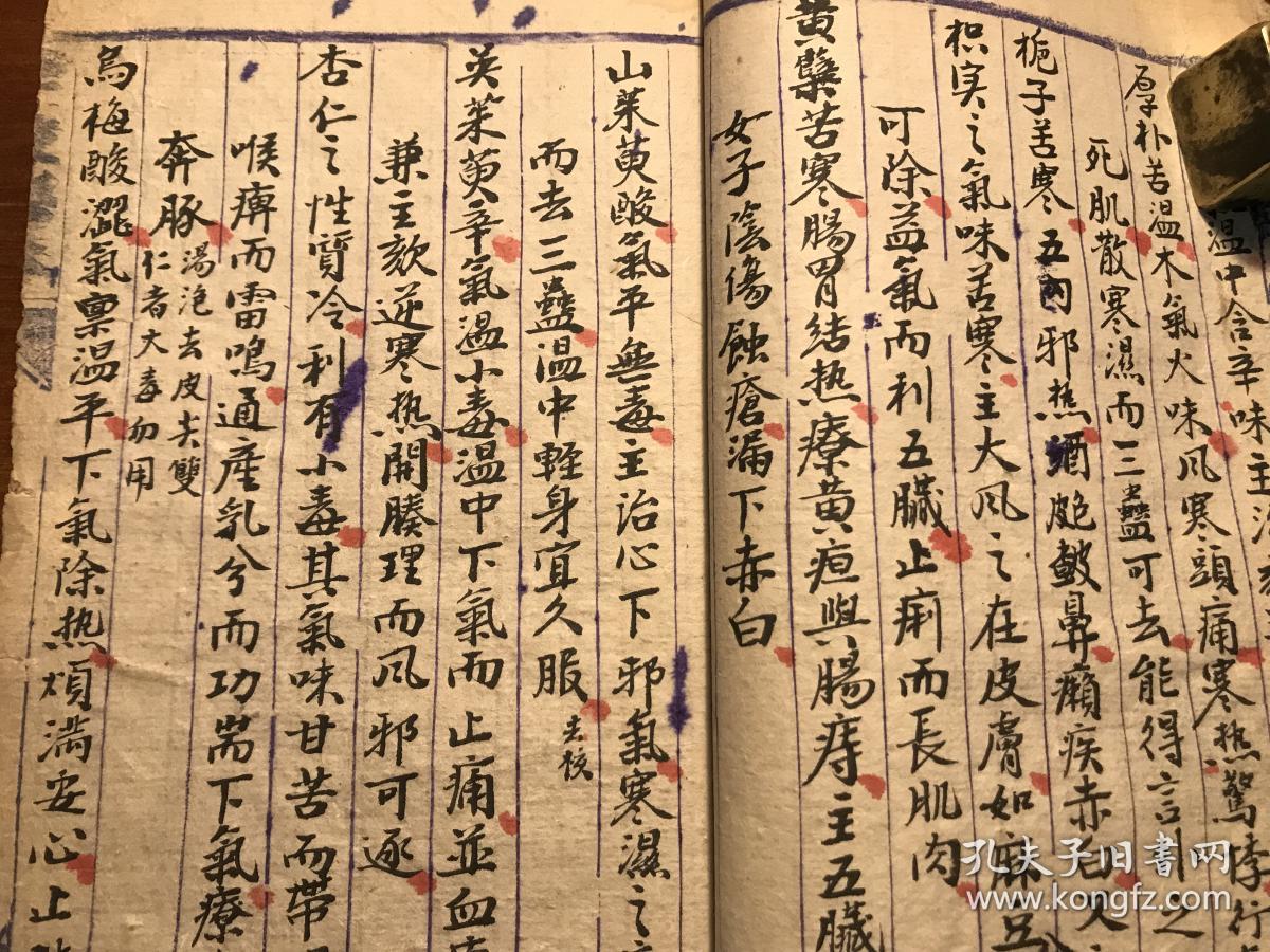 《药性医方》一册全 丁文蔚抄 极品精美抄本中医书 病例药例祖传秘方
