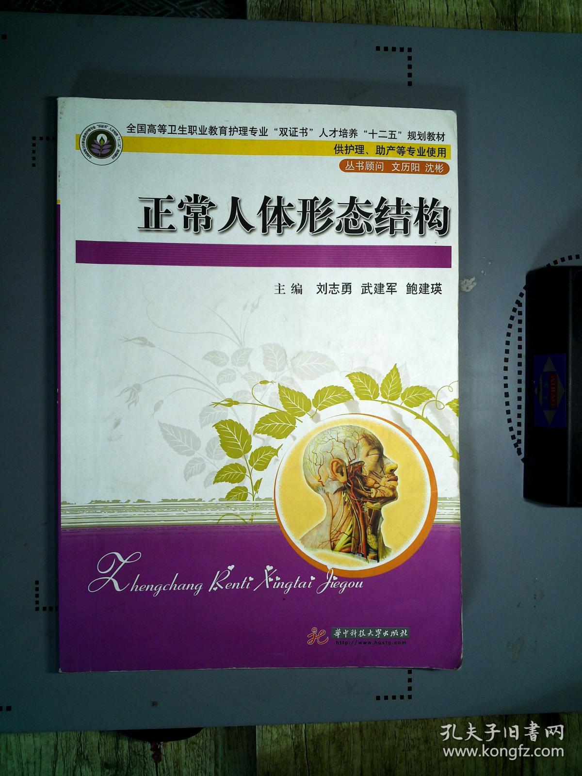 正常人体形态结构