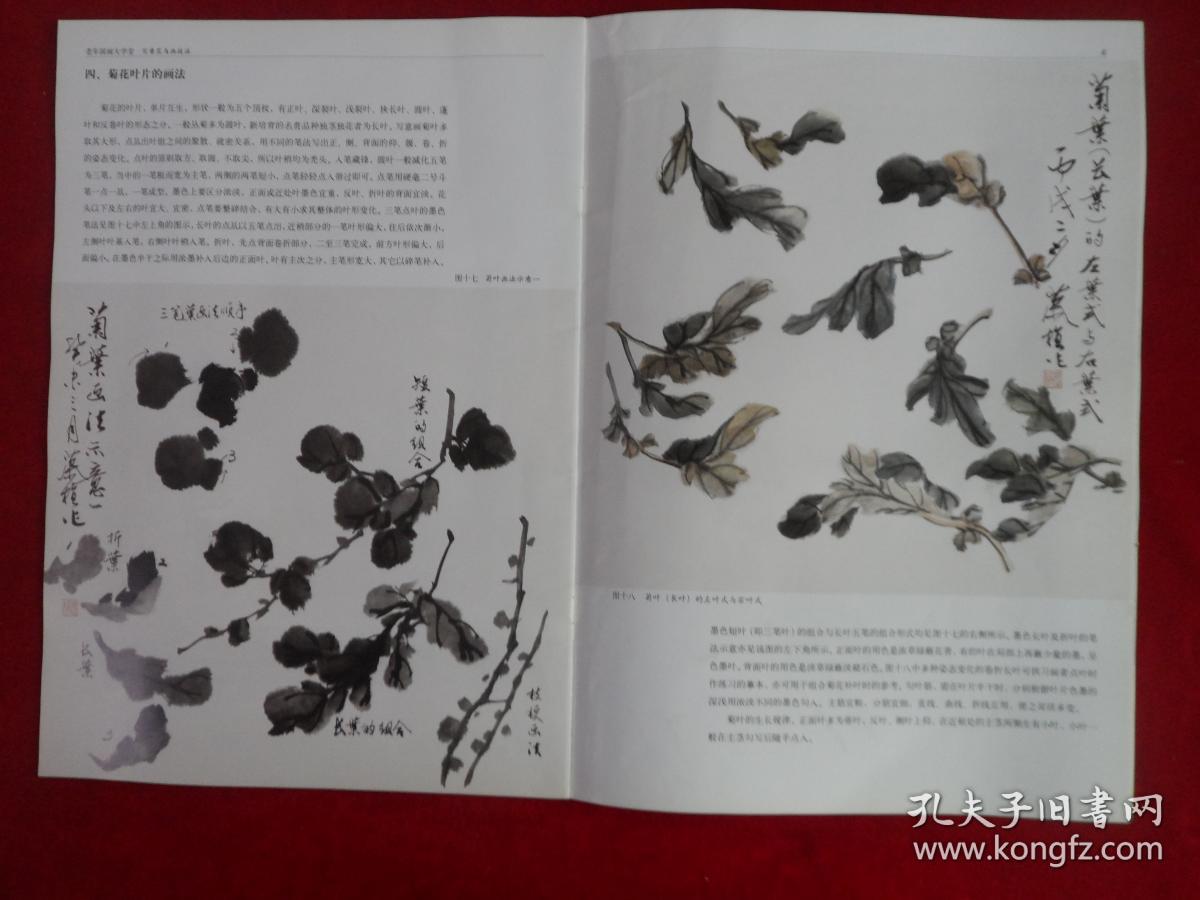 老年国画大学堂写意花鸟画技法菊