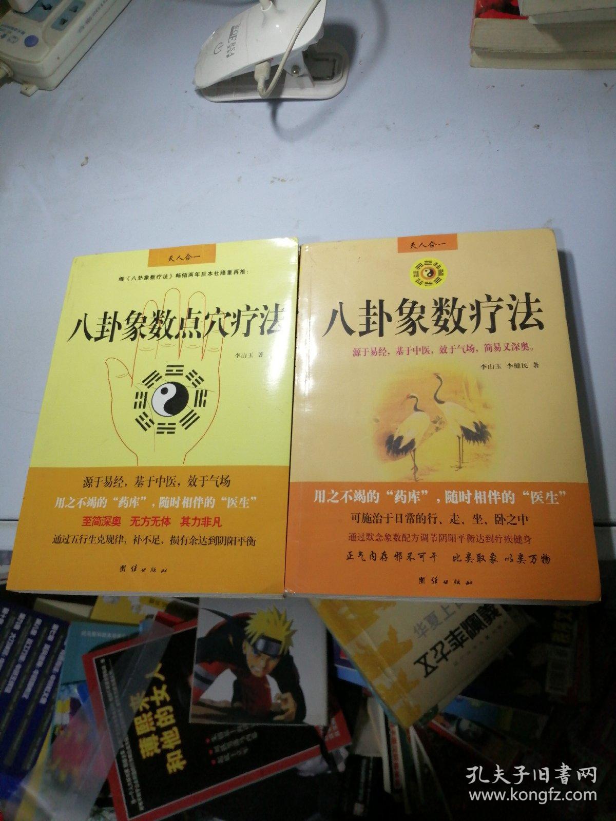 八卦象数疗法 八卦象数点穴疗法(两本合售)_李山玉_孔夫子旧书网