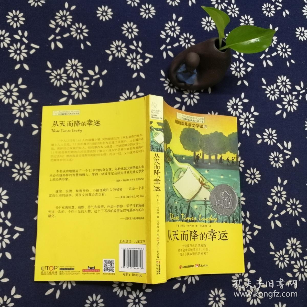 从天而降的幸运