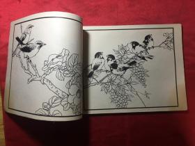 百花鸟曲谱_百花争艳(3)
