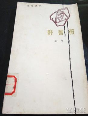 野蔷薇简谱_韩国歌曲野蔷薇花简谱