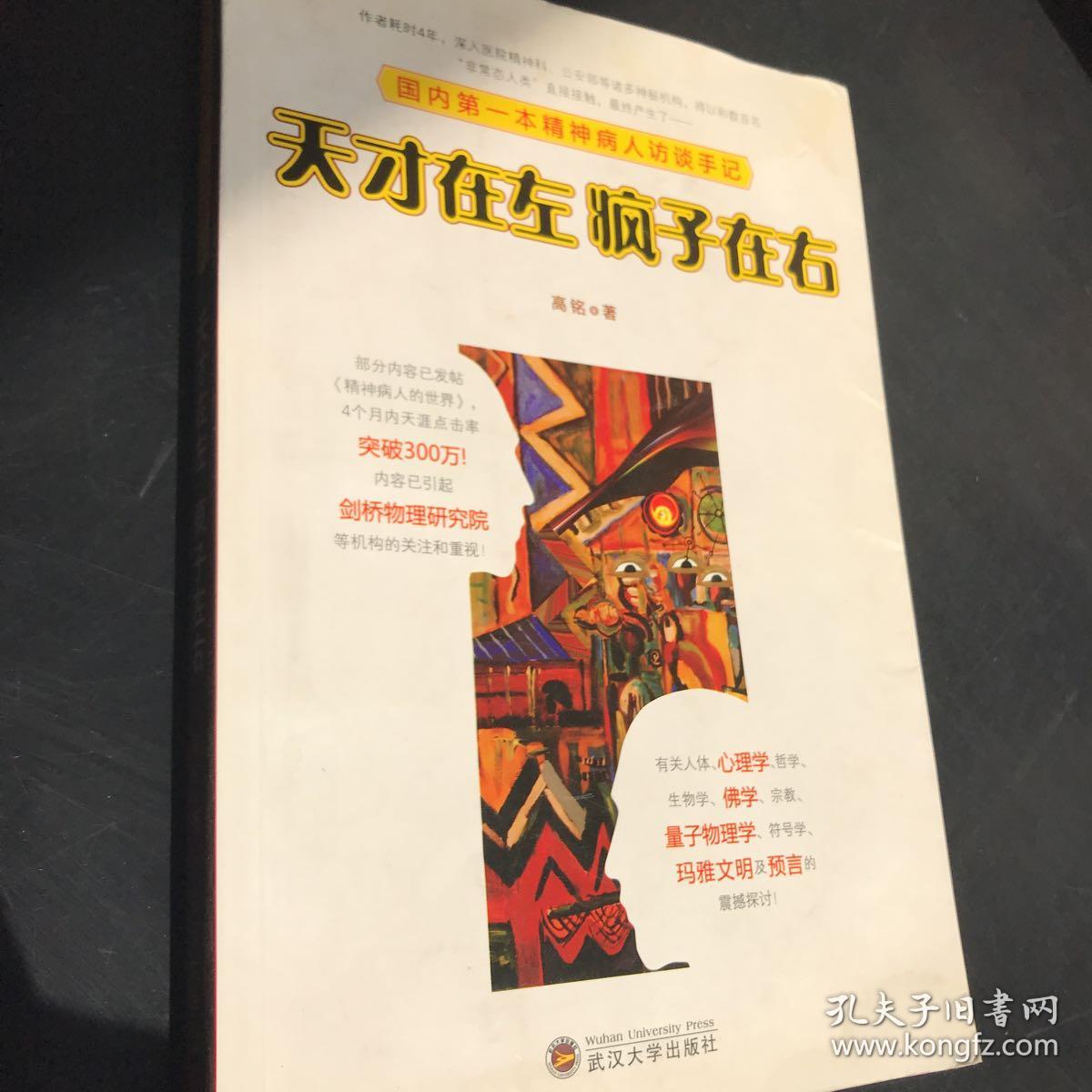 天才在左 疯子在右:国内第一本精神病人访谈手记