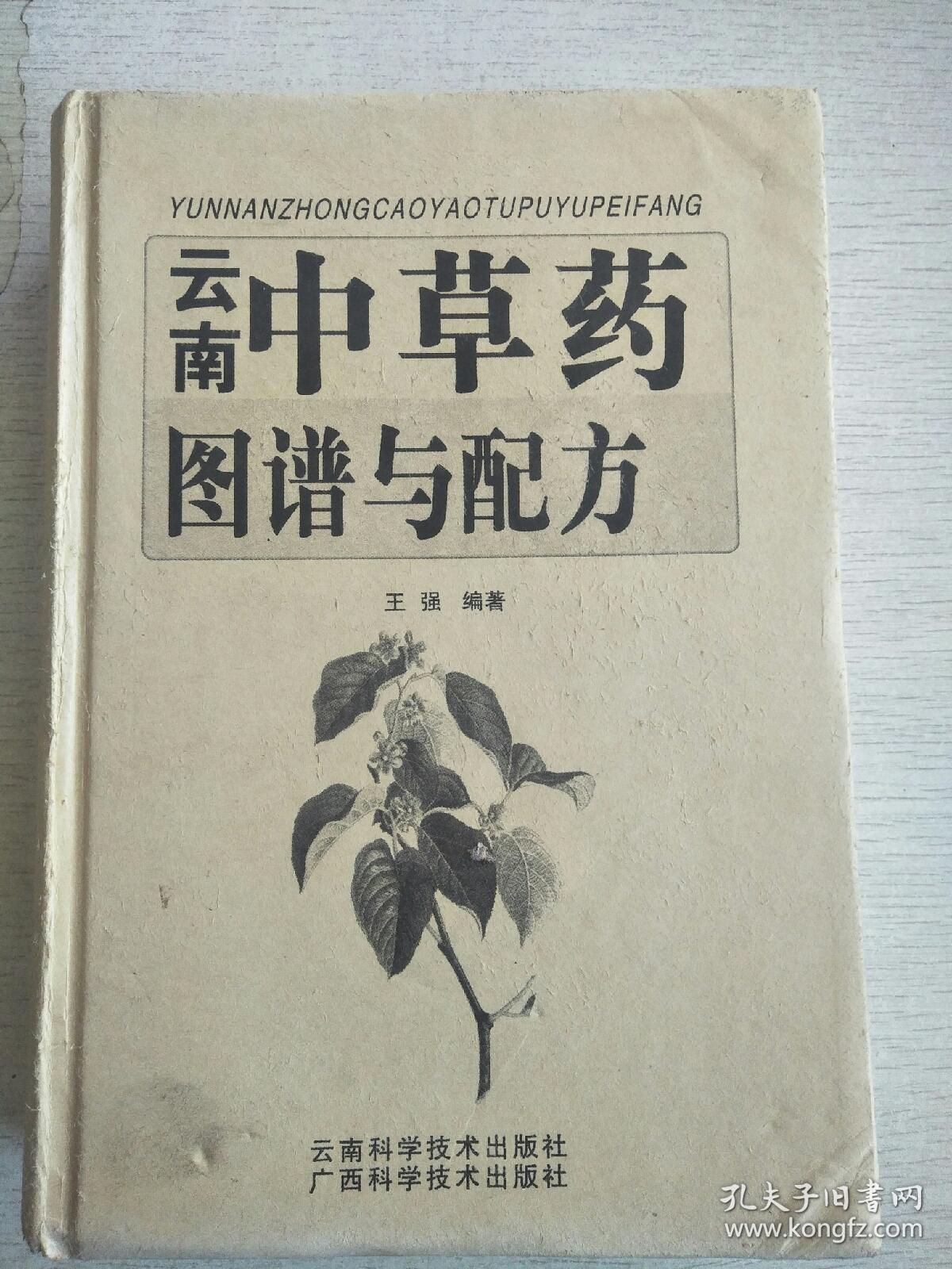 云南中草药(图谱与配方)