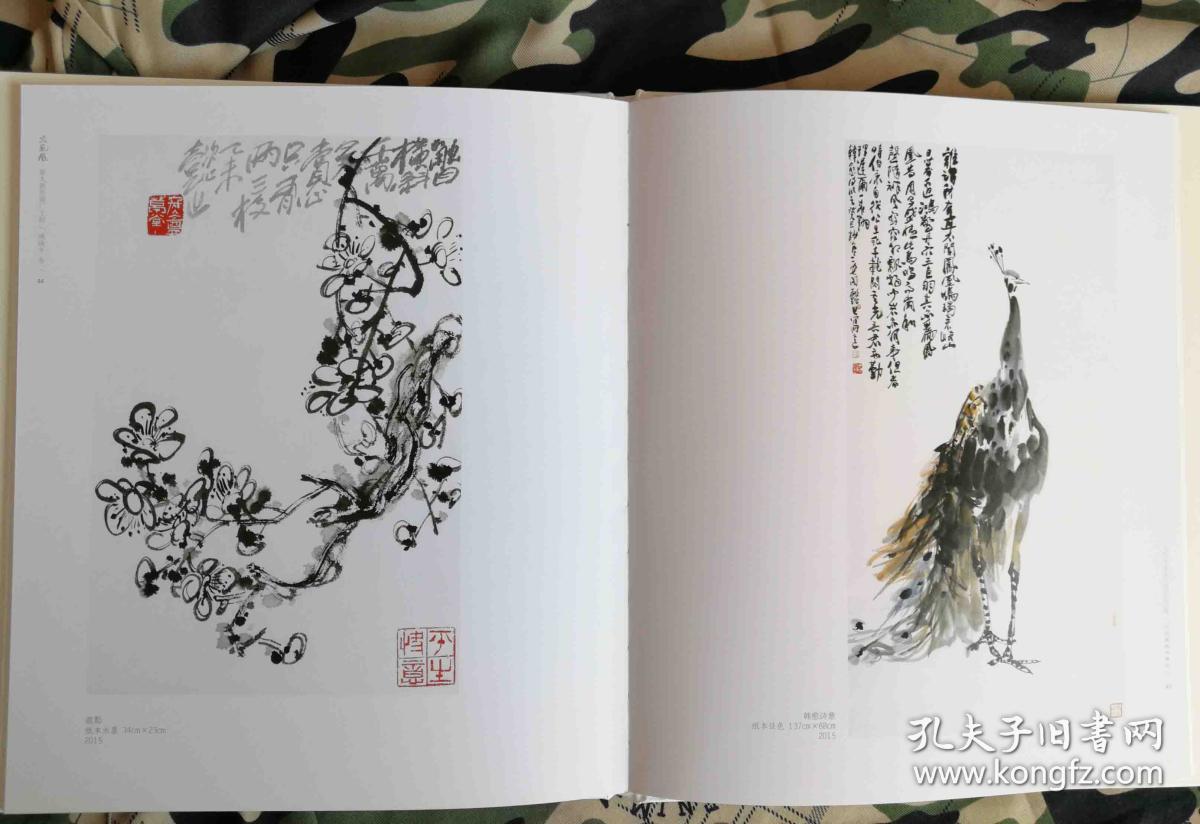 姚晓冬中国画花鸟作品集(国画山水)画册,火凤凰