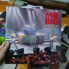 mr big live 黑胶唱片