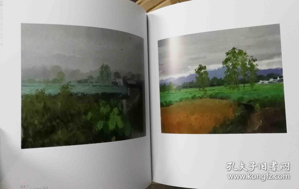 刘悦油画风景/表现(当代美术家代表作品全集)火凤凰画册