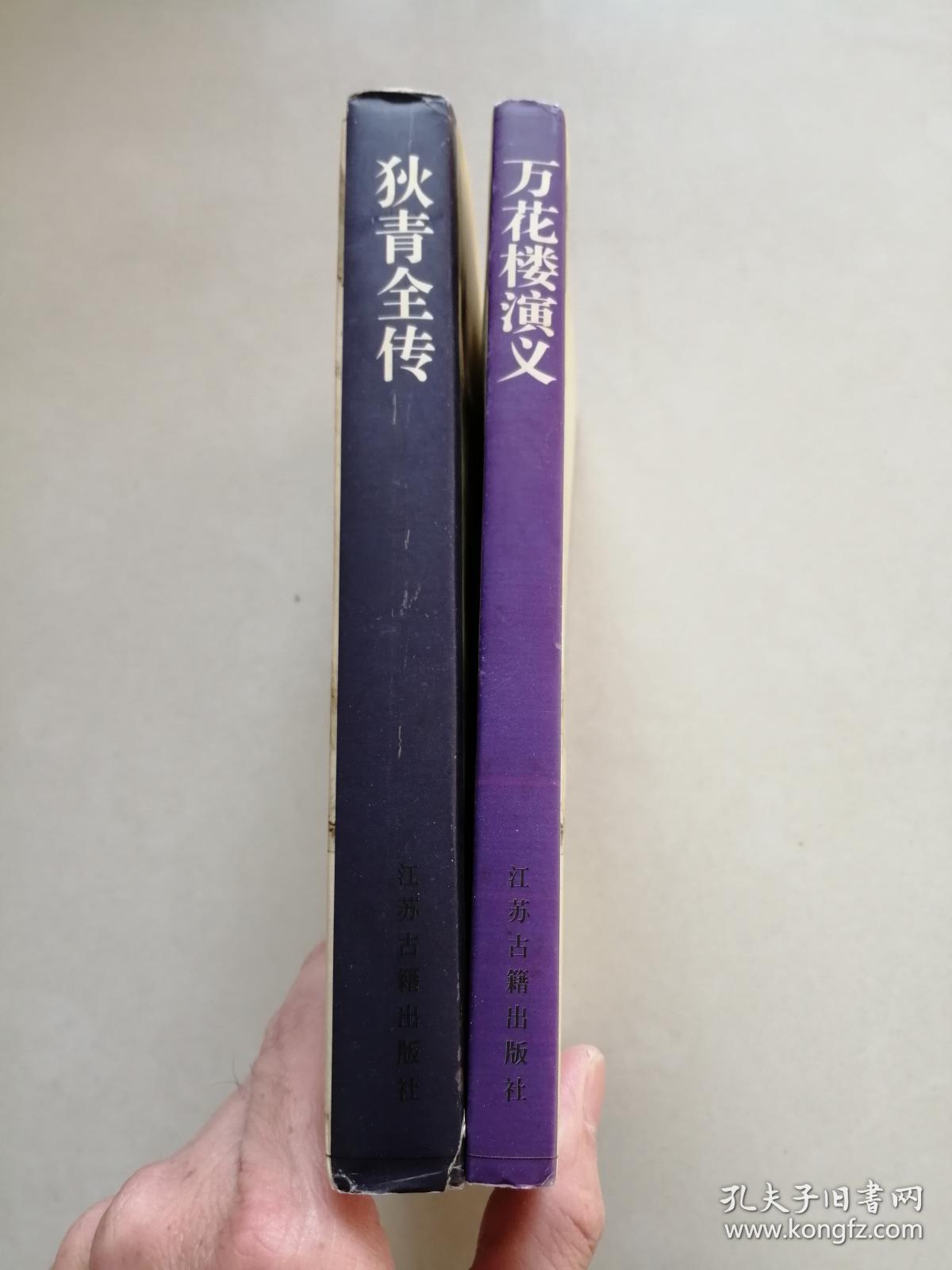 狄青全传(中国古代通俗小说读本)