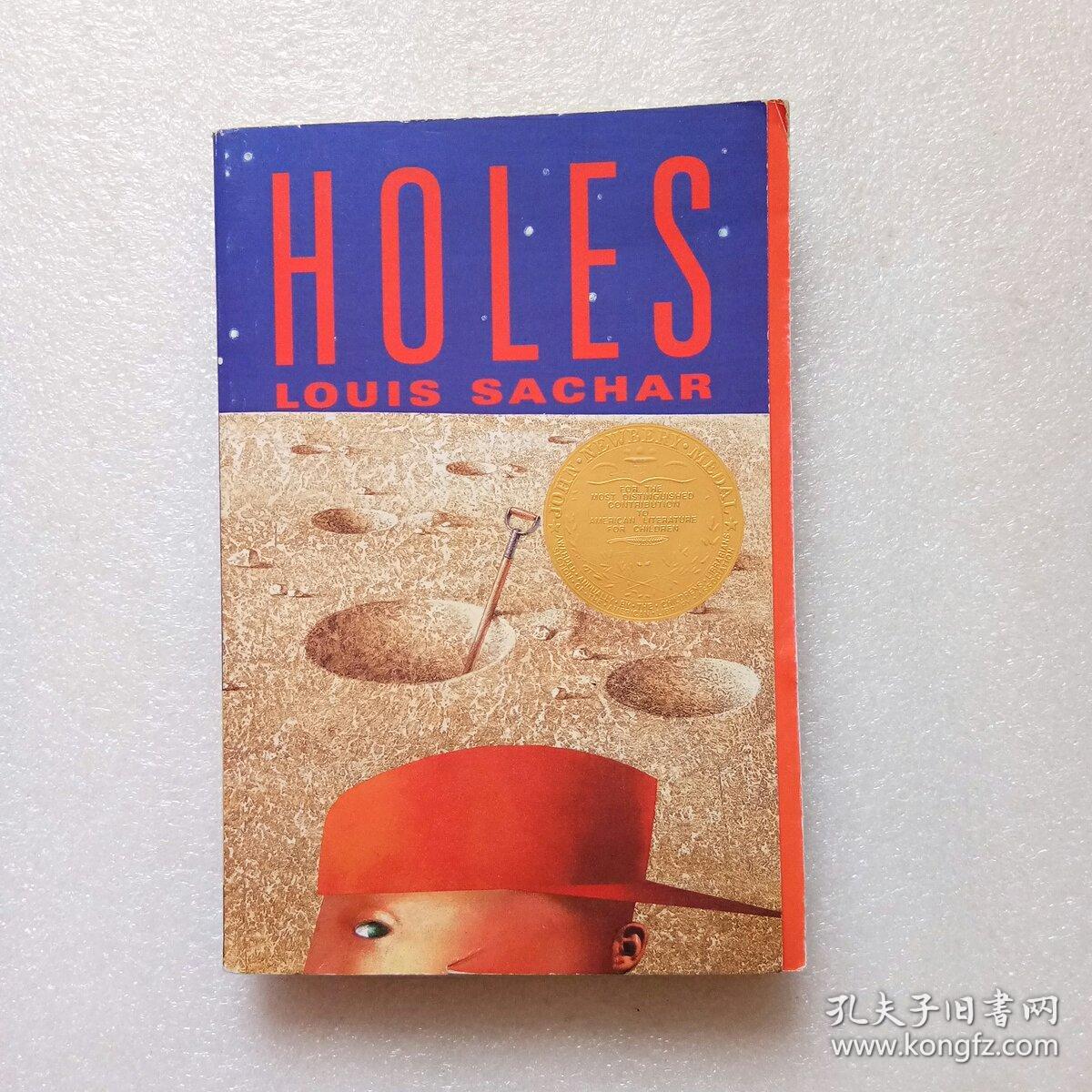 holes英文原版书
