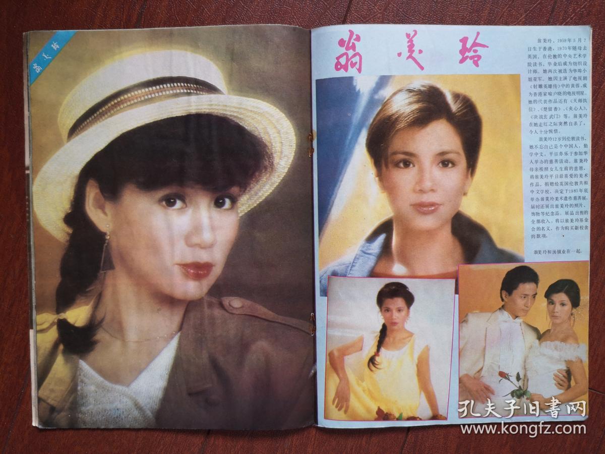 电影世界海报翁美玲,龚雪姜黎黎,《波斯猫在行动》香港电视连续剧