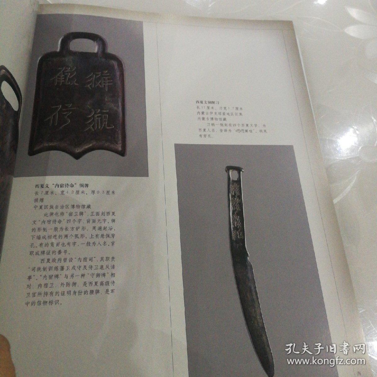 大夏寻踪:西夏文物辑萃