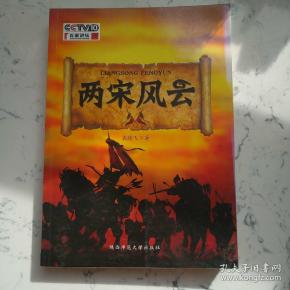 两宋风云:袁腾飞讲中国历史