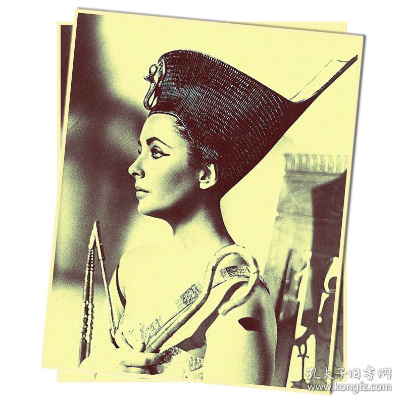 埃及经典怀旧电影咖啡馆 彩色故事片dvd 中文字幕 片长118分钟