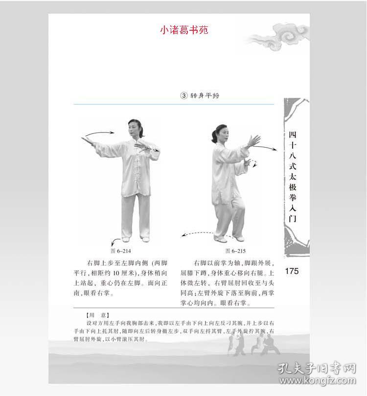 正版四十八式太极拳入门 48式太极拳招式拳法 中国武术学习教材书 带
