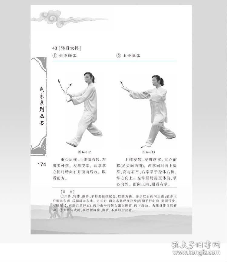 正版四十八式太极拳入门 48式太极拳招式拳法 中国武术学习教材书 带